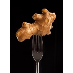 Confit De Gingembre | Toco - Délices de Guyane