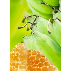 Banane Au Miel | Confitures & Gelées - Délices de Guyane