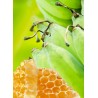 Banane Au Miel | Confitures & Gelées - Délices de Guyane