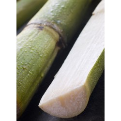 Bouteille Or Blanc 70Cl | Rhums - Délices de Guyane