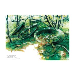 Aquarelle Lepage Site archéologique sur l'Approuague