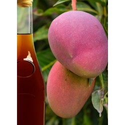 Mangue / Rhum Vieux - Délices de Guyane