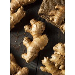 Sirop Gingembre | Sirops - Délices de Guyane