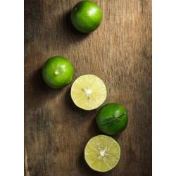 Sirop Citron Vert | Sirops - Délices de Guyane